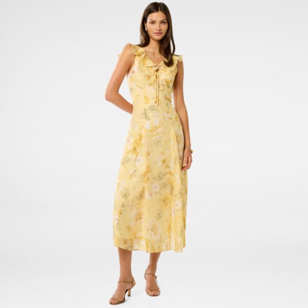 Lenny Godet Printed Midi Dress