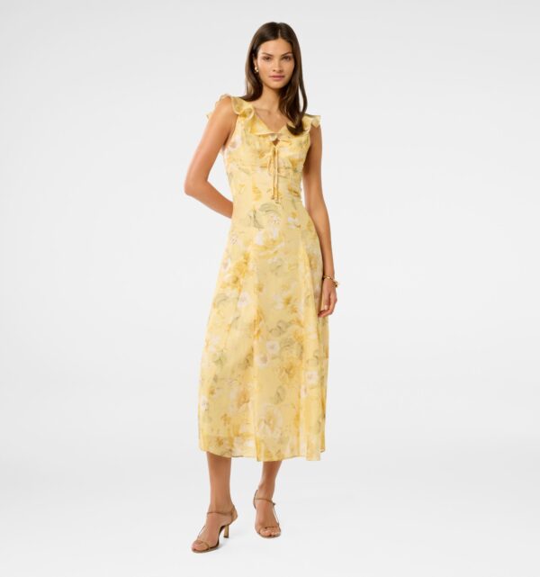 Lenny Godet Printed Midi Dress